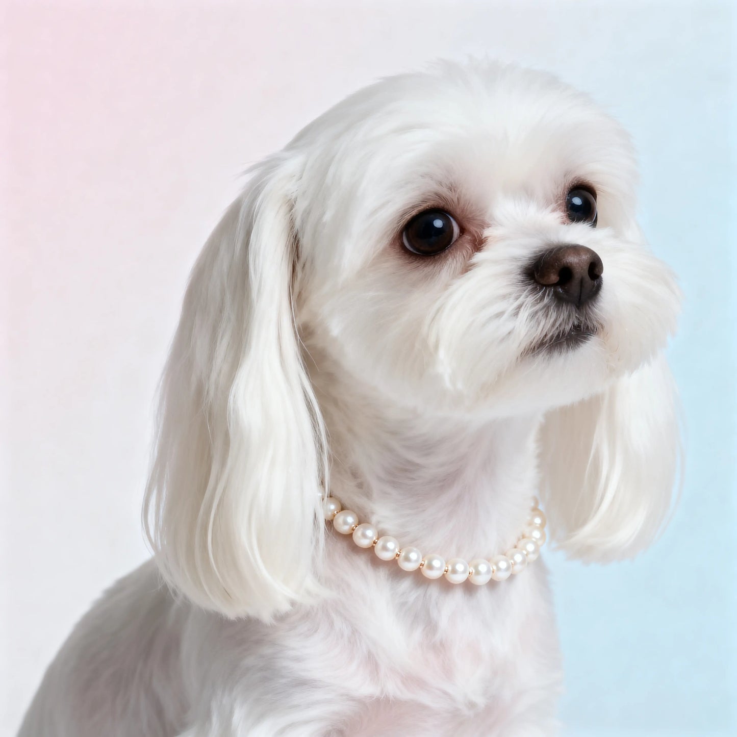 Luxuriöse Perlen-Hundehalskette