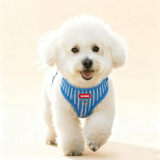 Anti-Escape Chest Harness for Small Dogs