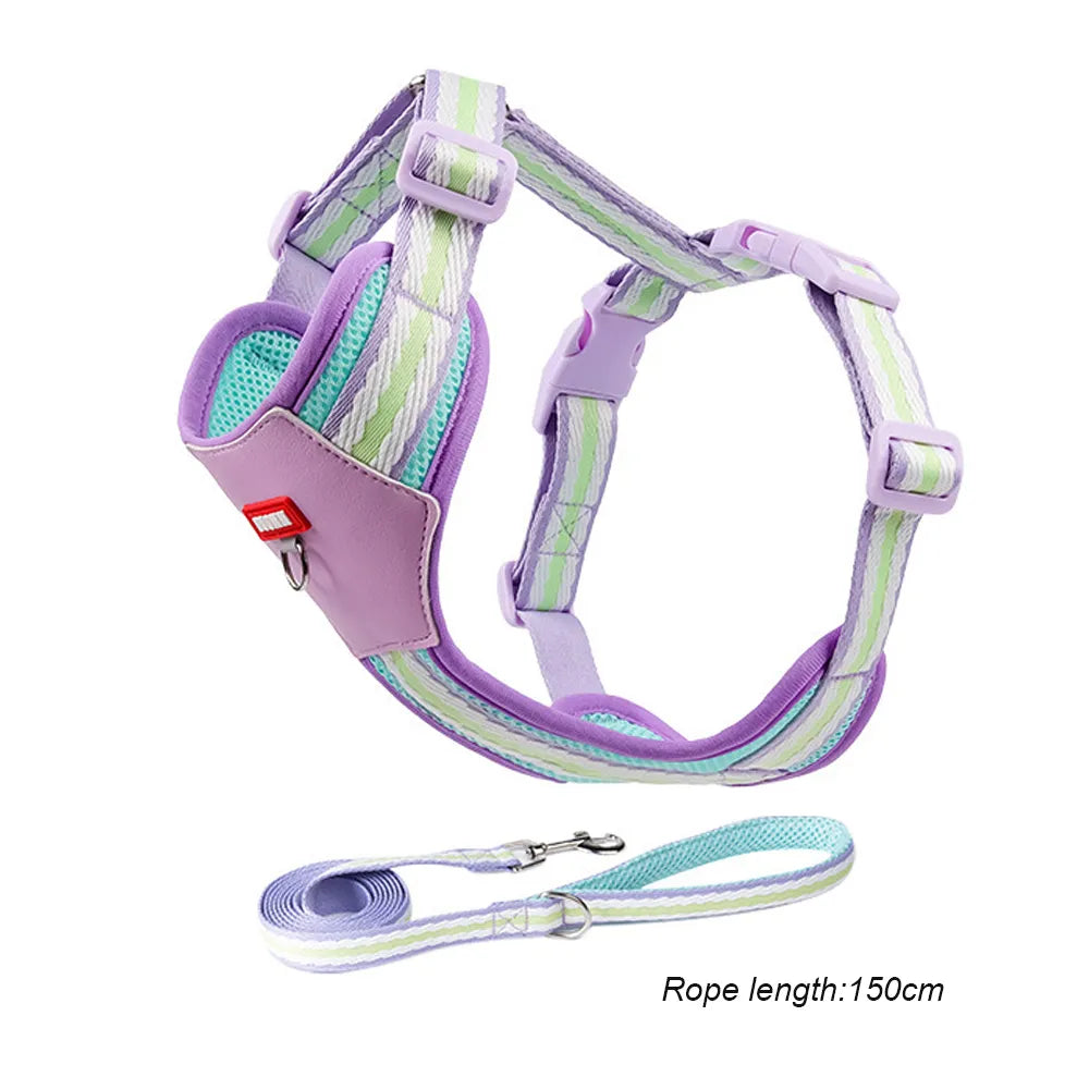 Corgi & Bichon Chest Harness for Small to Medium Dogs