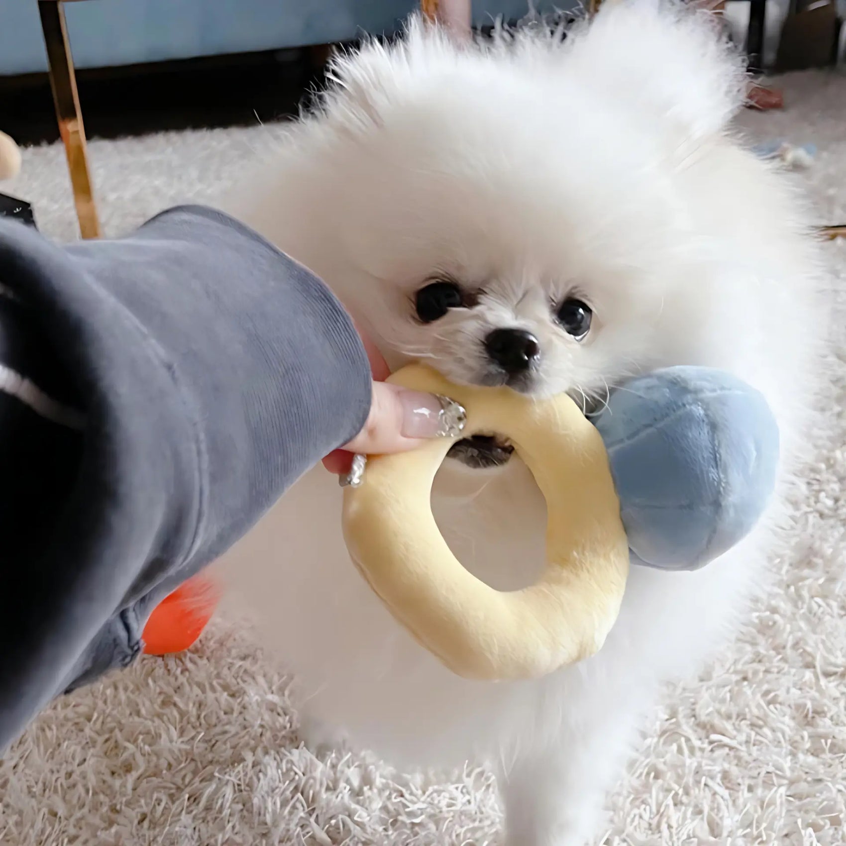 Diamond Ring Plush Dog Toy with Squeaker
