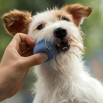Kauspielzeug der Frucht-Serie