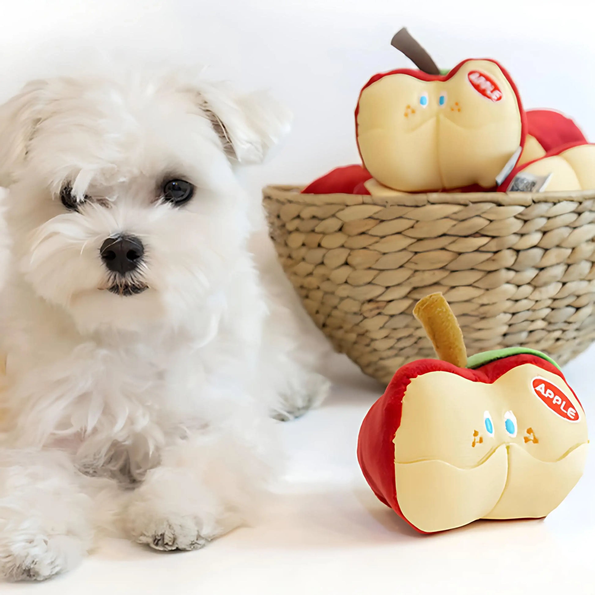 Apple Food Hiding Interactive Dog Toy