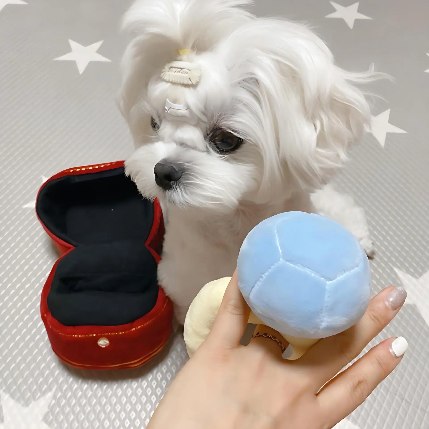 Diamond Ring Plush Dog Toy with Squeaker