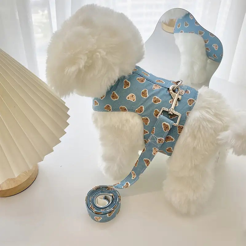 Small Dog Harness with Leash