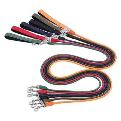 Strapazierfähige Hundeleinen aus Nylon