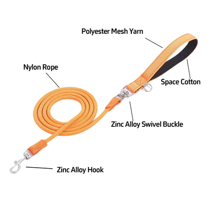 Strapazierfähige Hundeleinen aus Nylon