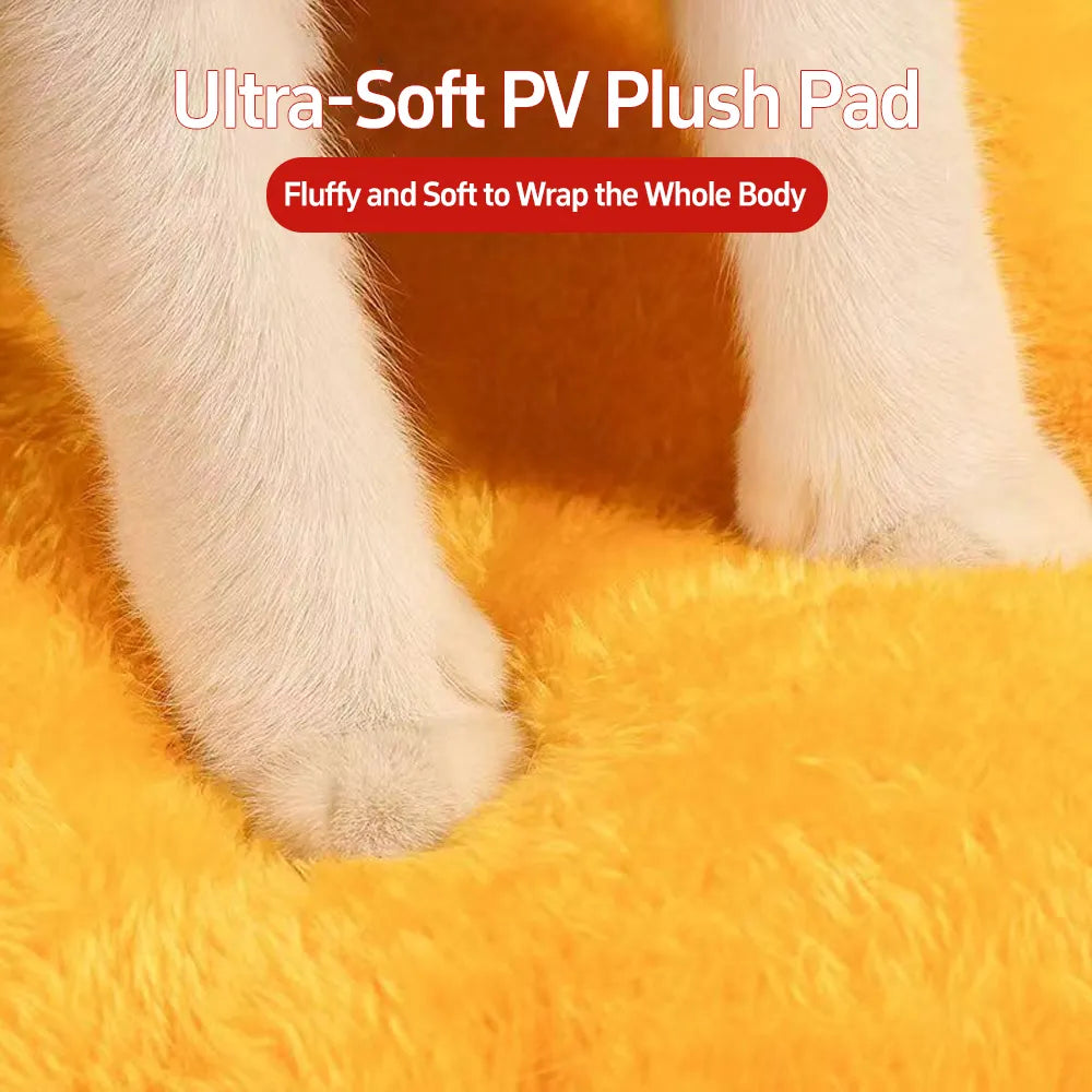 Haustierhaus in Form eines Honigtopfs