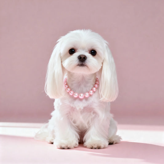 Luxury Pearl Dog Necklace
