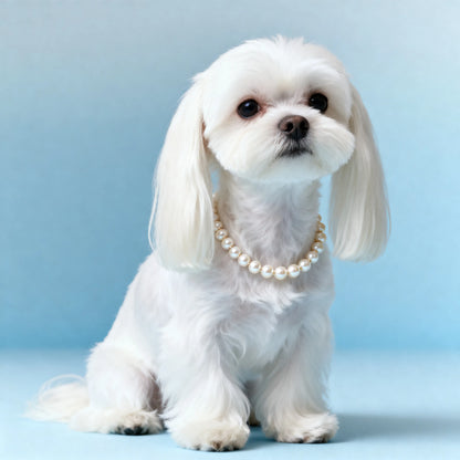 Luxuriöse Perlen-Hundehalskette