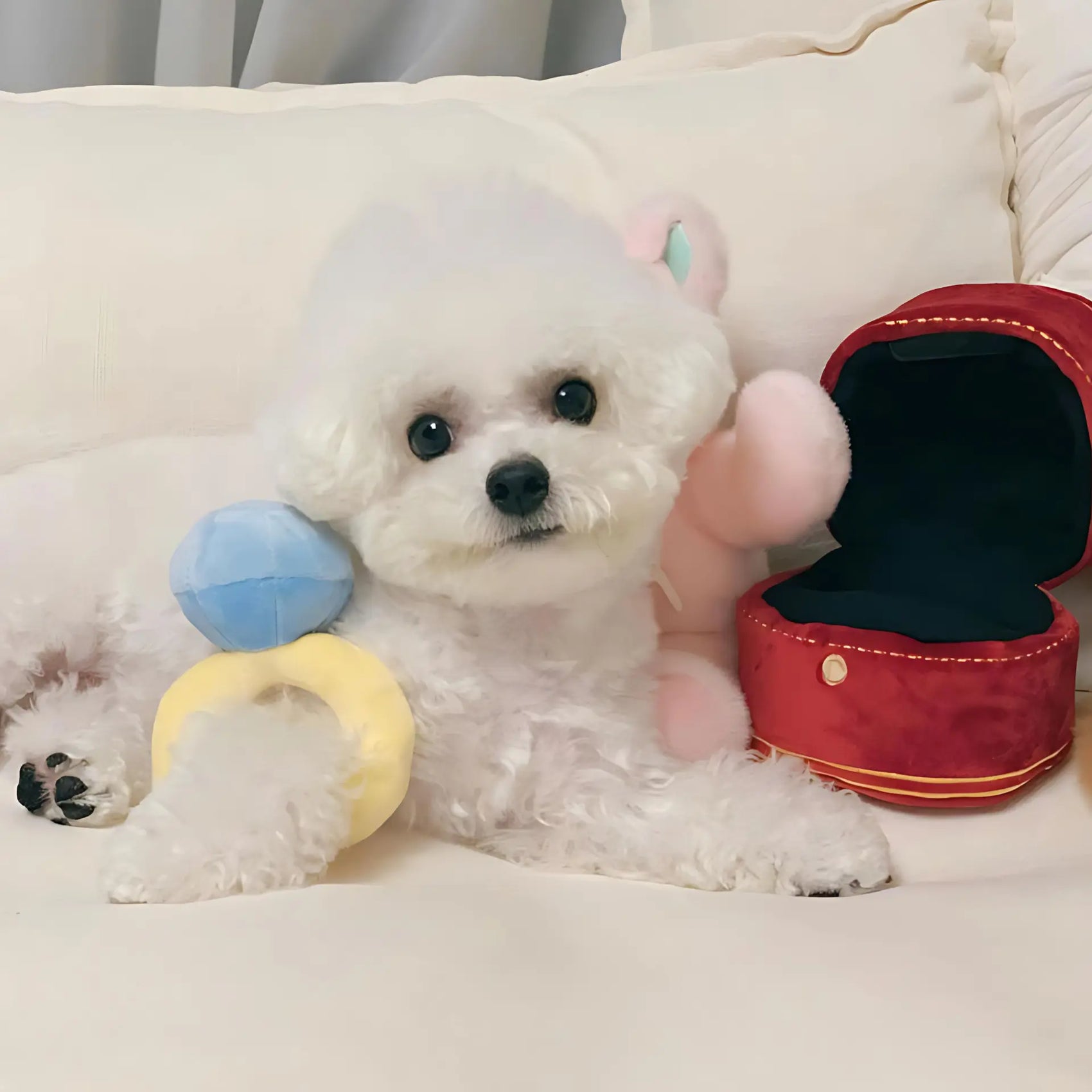 Diamond Ring Plush Dog Toy with Squeaker