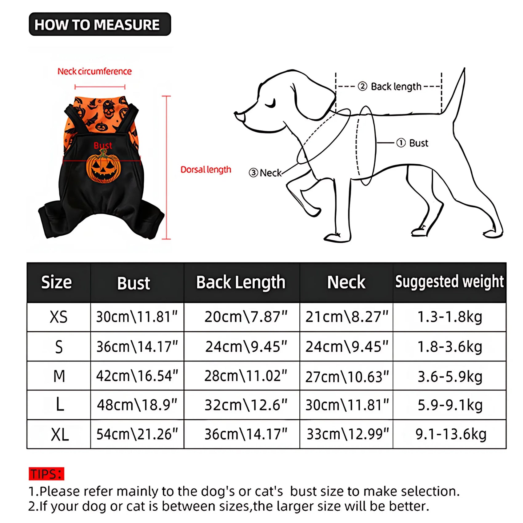 Halloween Dog Costume