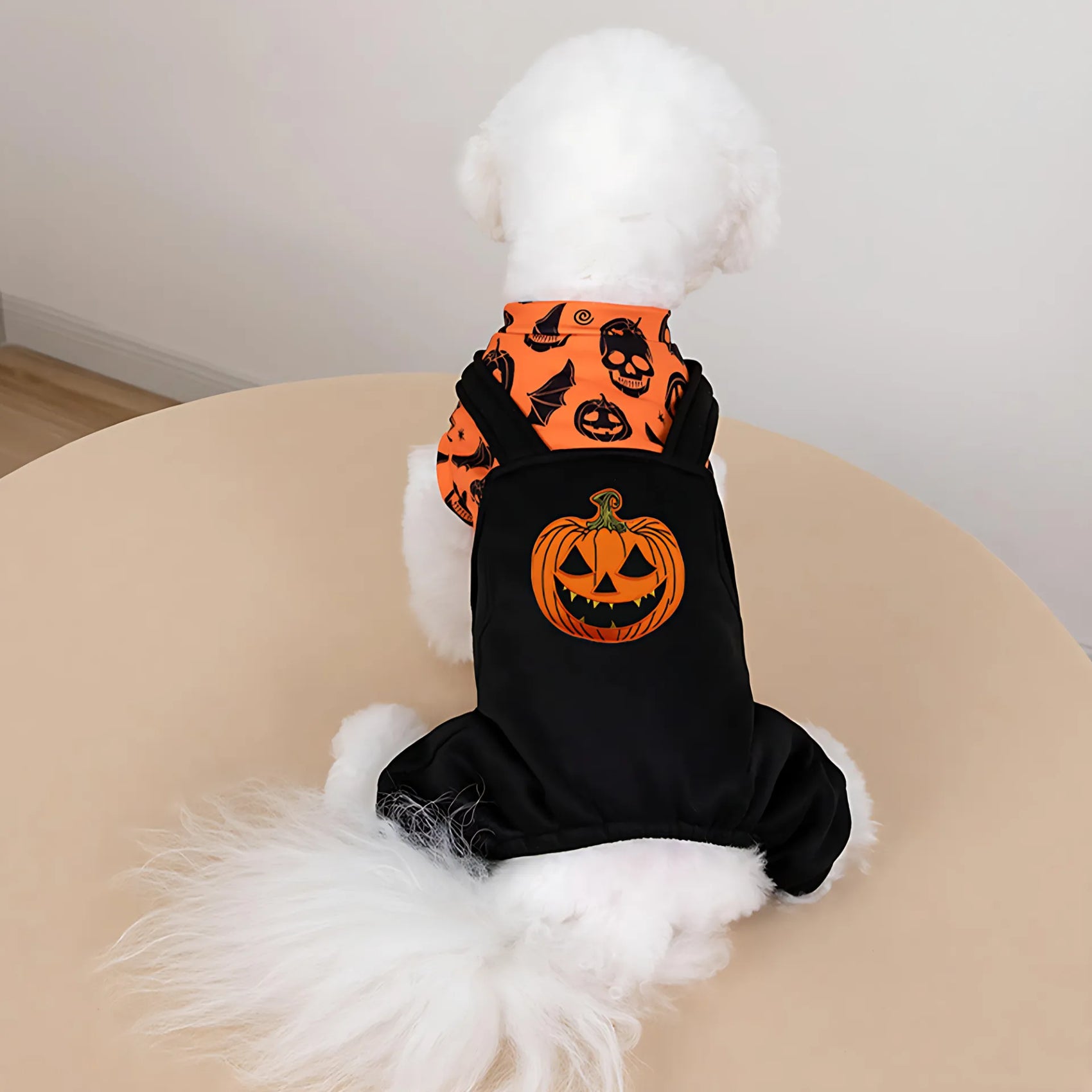 Halloween Dog Costume