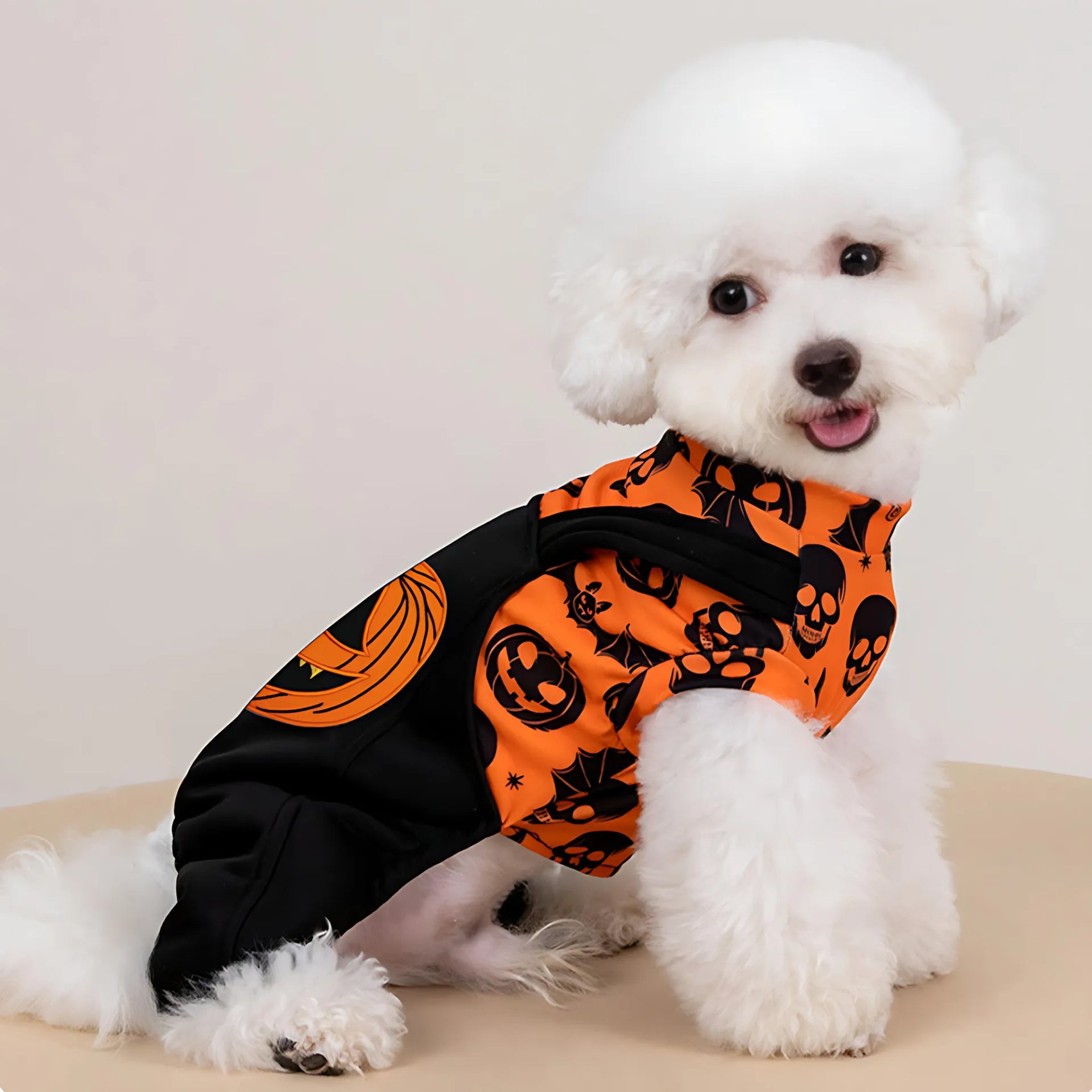 Halloween Dog Costume