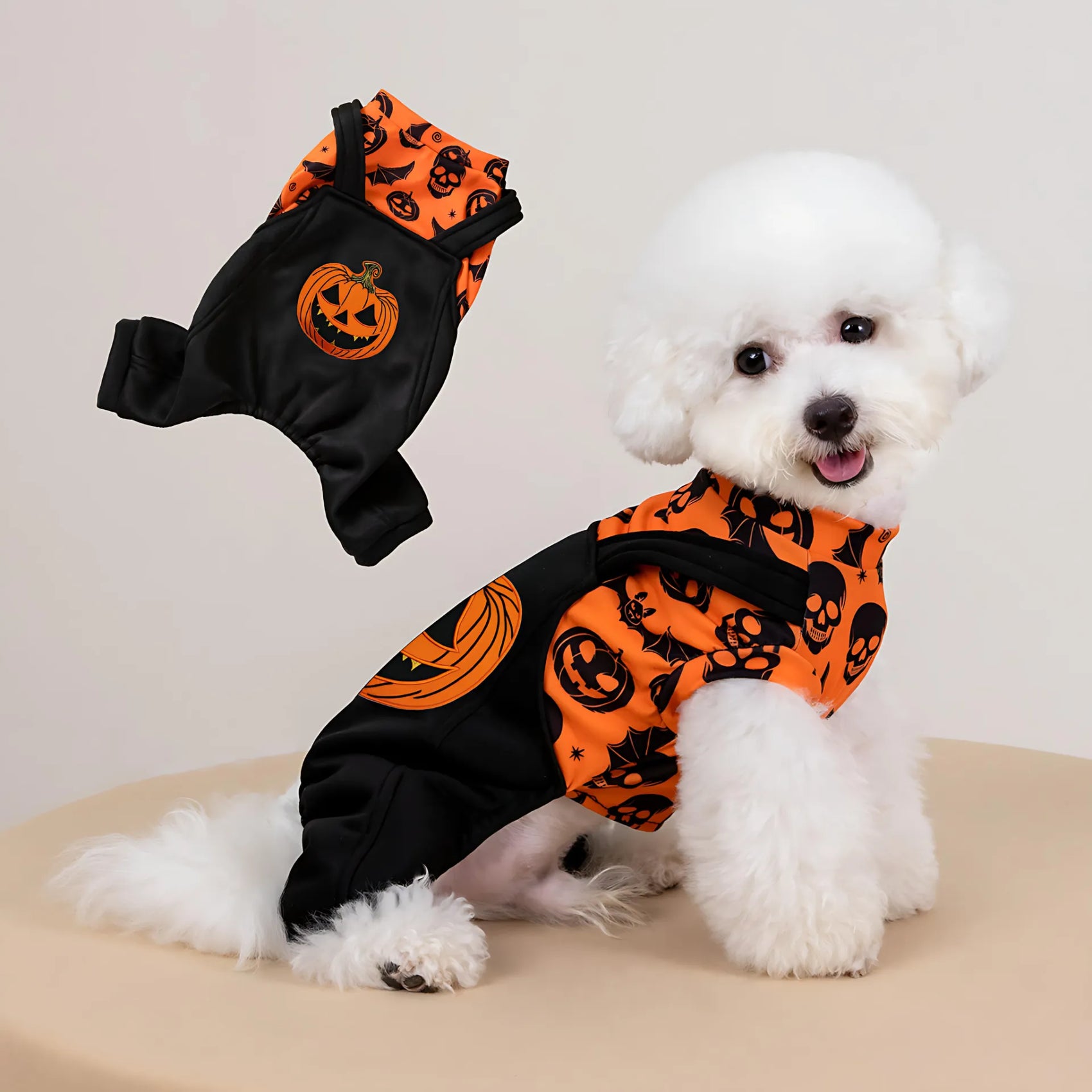 Halloween Dog Costume