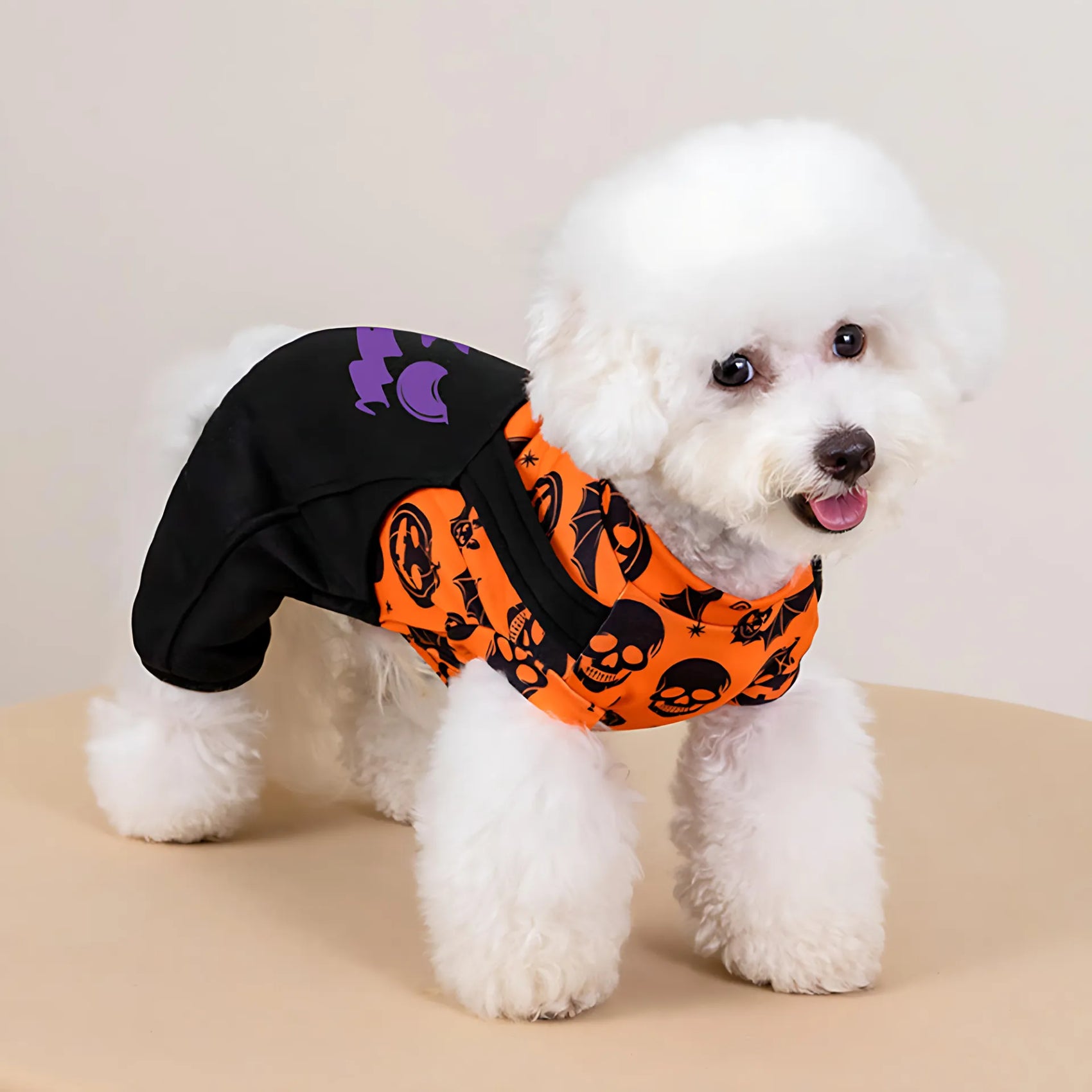 Halloween Dog Costume