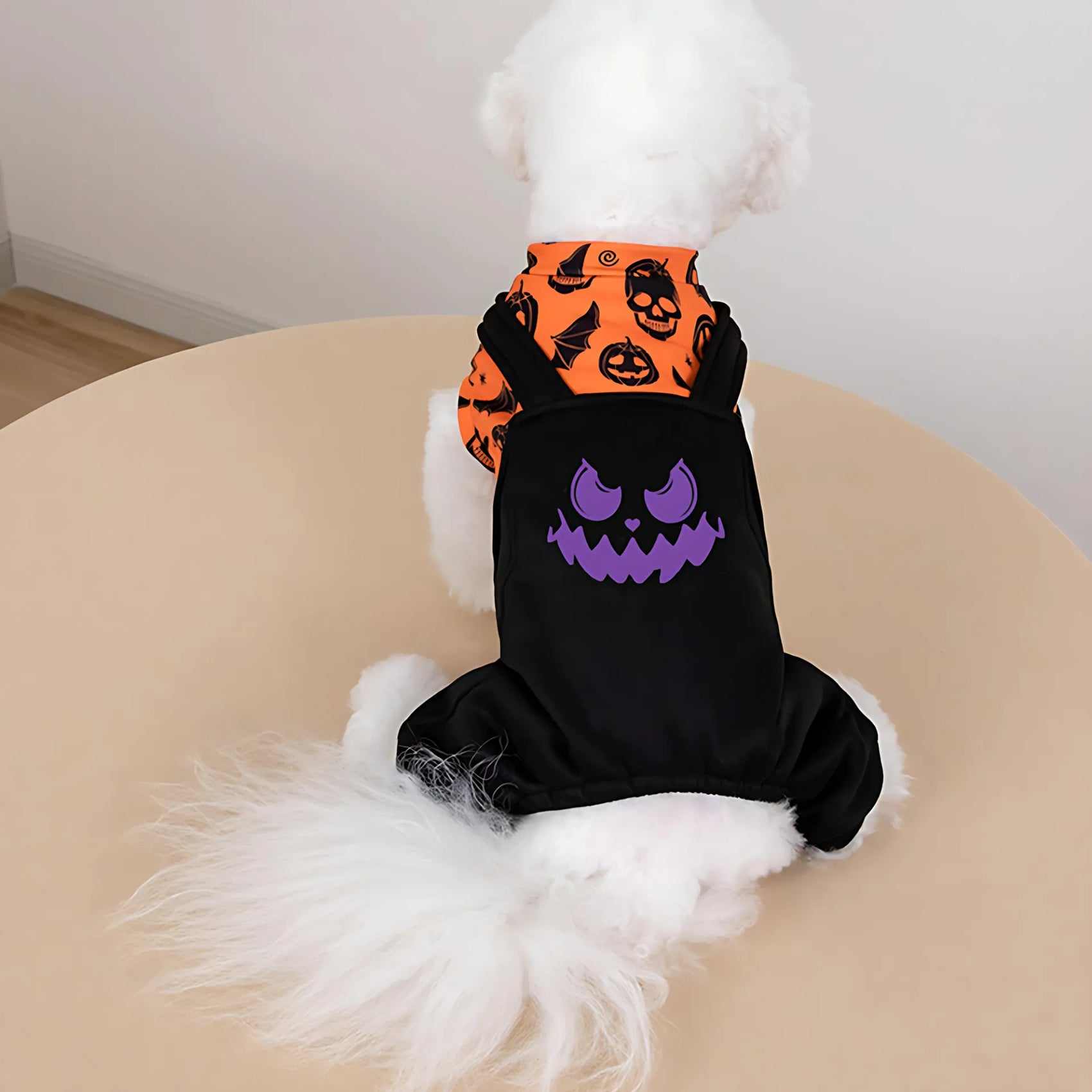 Halloween Dog Costume