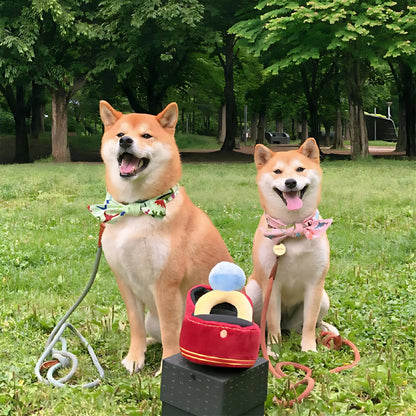 Plüsch-Hundespielzeug mit Diamantring und Quietscher