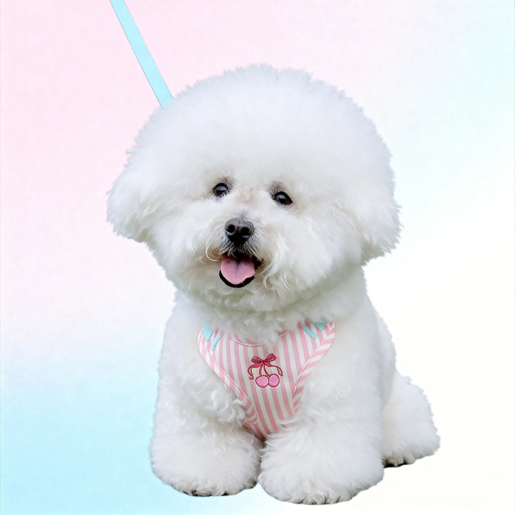 Cute Vest-style Pet Harness Leash for Small Dogs