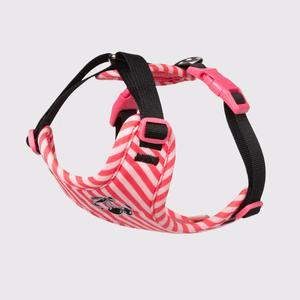 Cute Vest-style Pet Harness Leash for Small Dogs