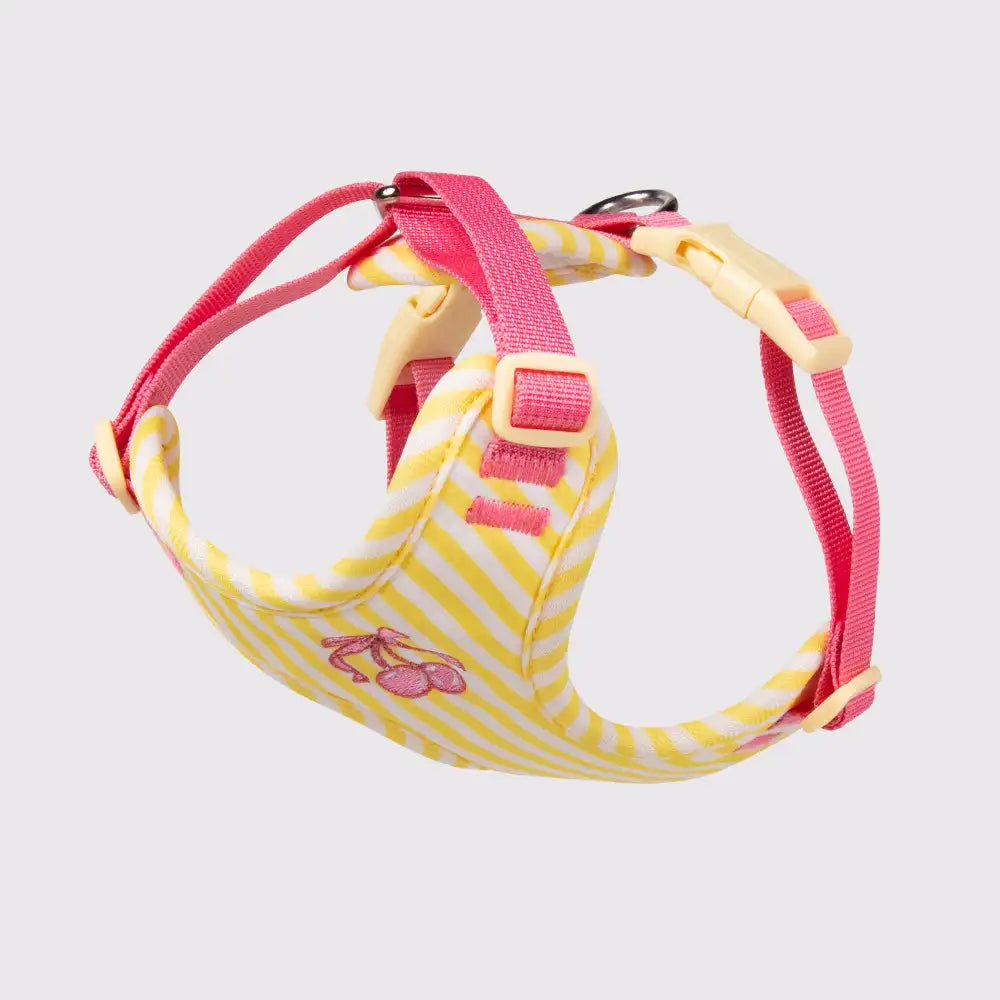 Cute Vest-style Pet Harness Leash for Small Dogs