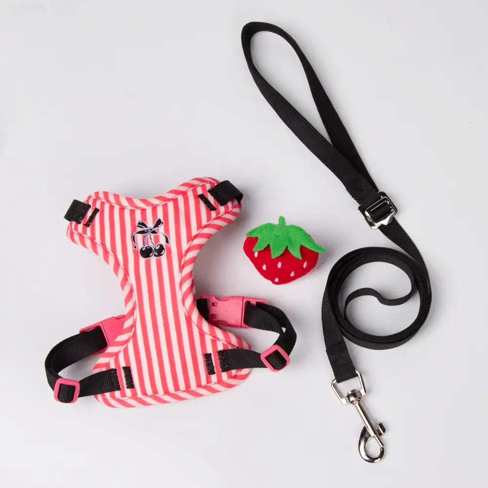 Cute Vest-style Pet Harness Leash for Small Dogs