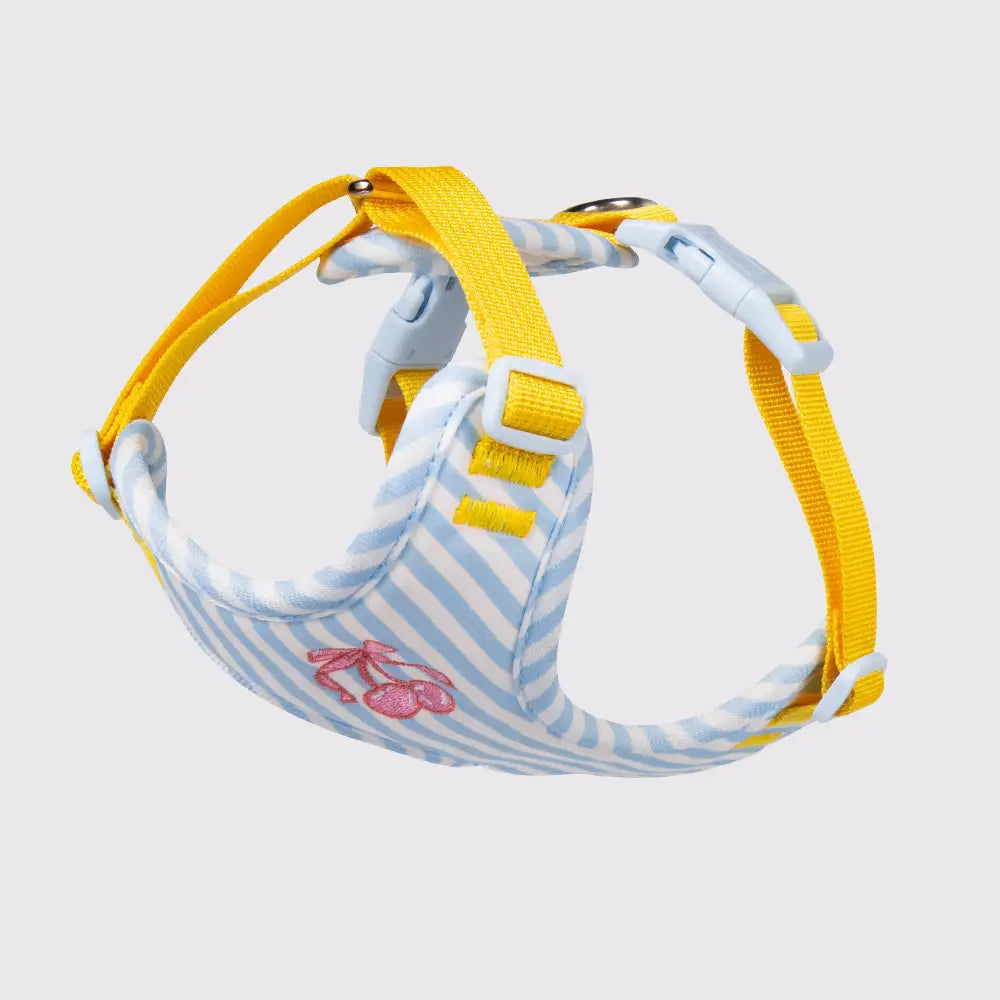 Cute Vest-style Pet Harness Leash for Small Dogs