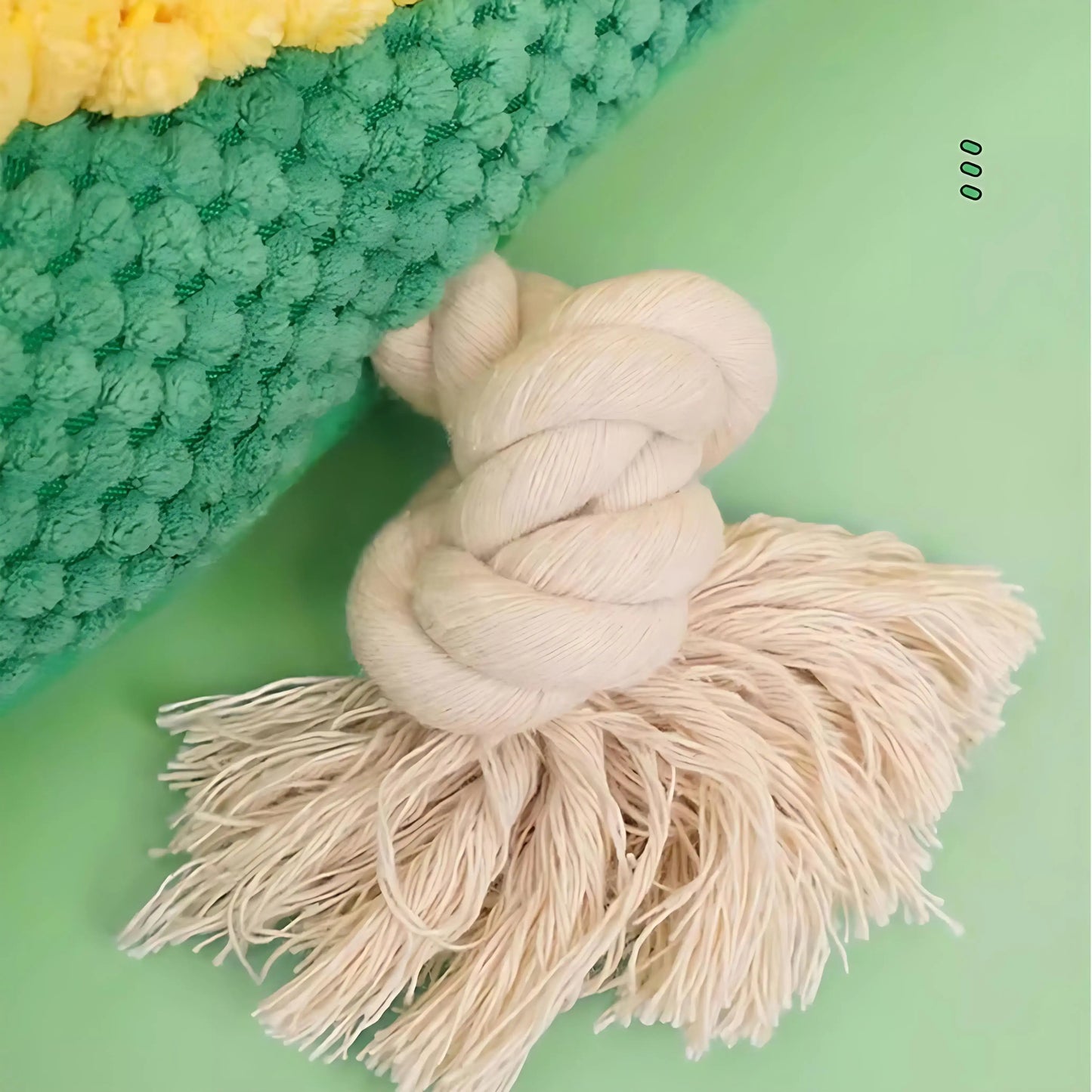 Lizard Plush Dog Toy with Squeaker