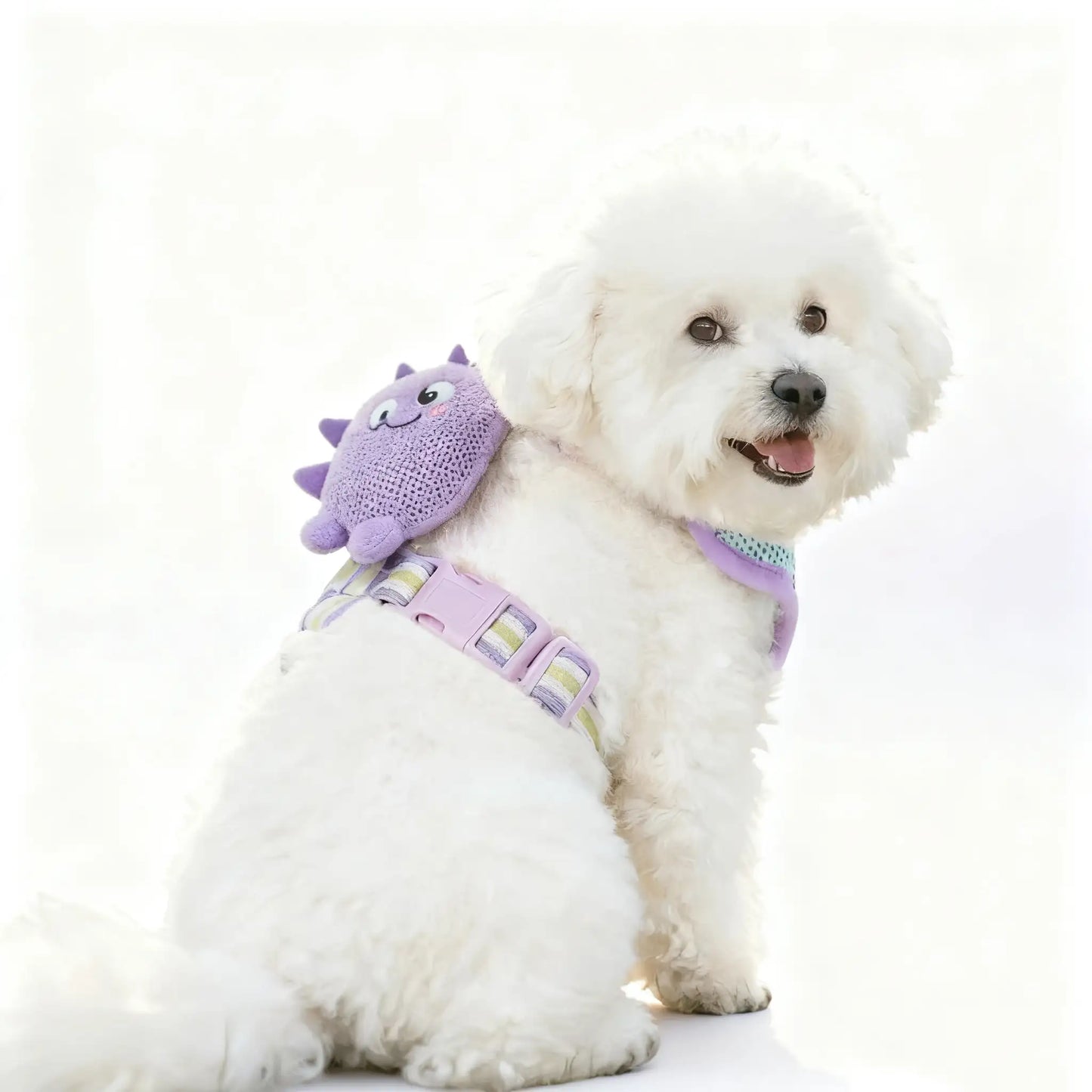 Anti-Escape Chest Harness for Small Dogs