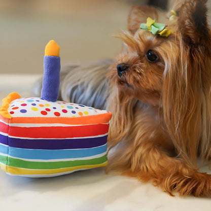 Plüschtier für Hunde in Geburtstagskuchenform mit Quietscher