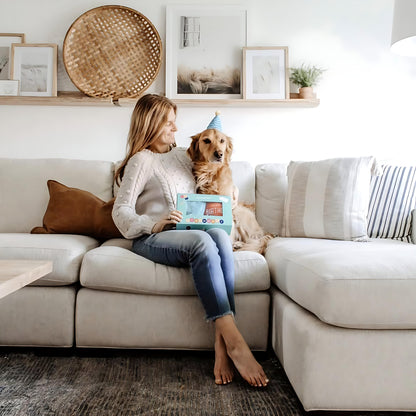 Plüschtier-Hundespielzeug mit Geburtstagskuchenhut und Quietscher