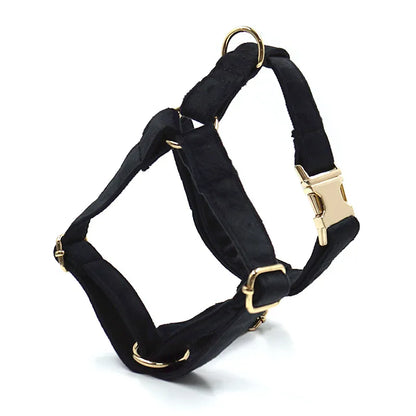 Schwarze Samt-Walk-Sets