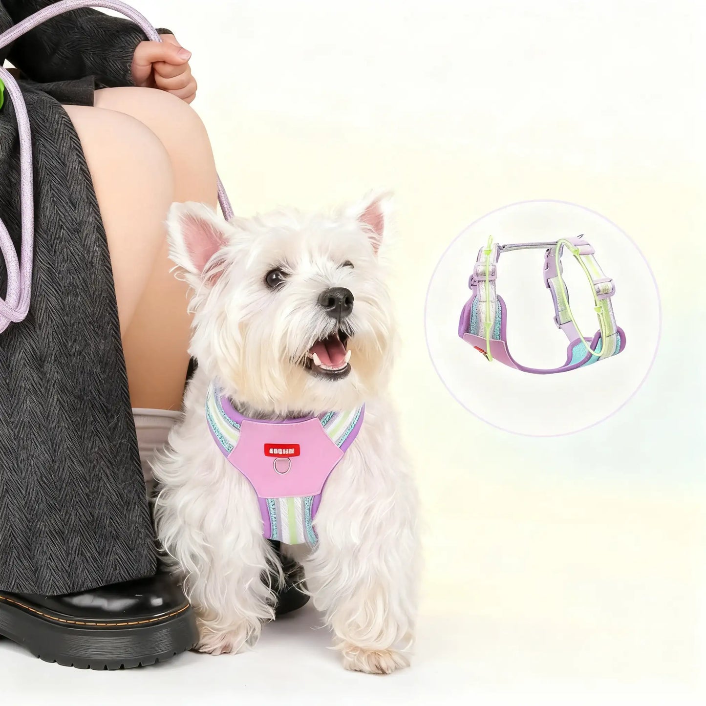 Brustgeschirr für Corgis und Bichons, geeignet für kleine bis mittelgroße Hunde