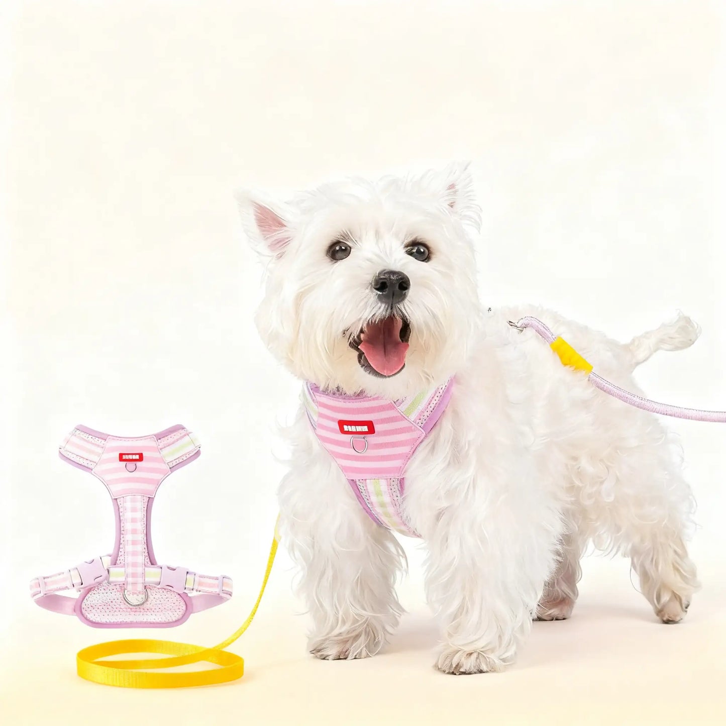 Brustgeschirr für Corgis und Bichons, geeignet für kleine bis mittelgroße Hunde