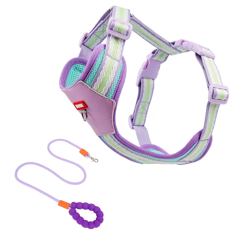 Brustgeschirr für Corgis und Bichons, geeignet für kleine bis mittelgroße Hunde