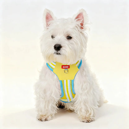 Brustgeschirr für Corgis und Bichons, geeignet für kleine bis mittelgroße Hunde
