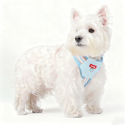 Brustgeschirr für Corgis und Bichons, geeignet für kleine bis mittelgroße Hunde