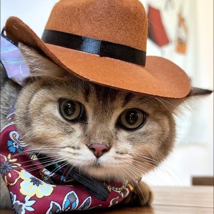Western Cowboy Pet Hat