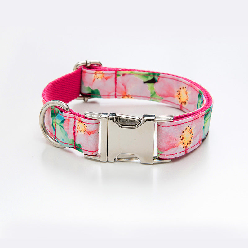 Cute Printed Dog Collar with Silver Buckle