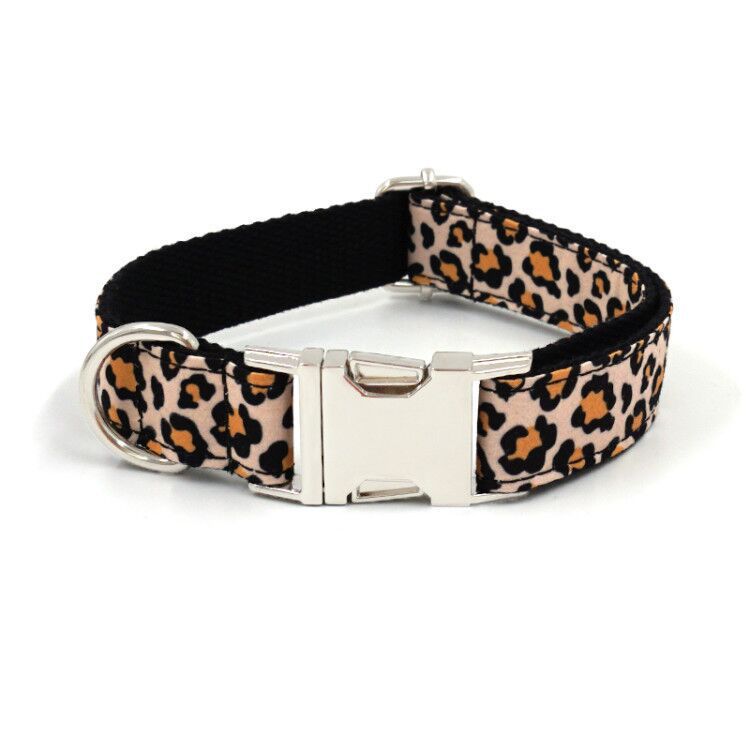 Cute Printed Dog Collar with Silver Buckle