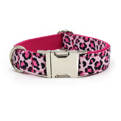 Niedliches bedrucktes Hundehalsband mit silberner Schnalle