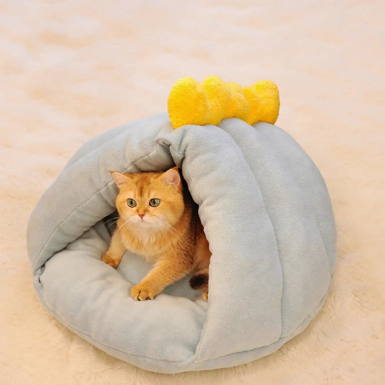 Cute Dinosaur Pet House