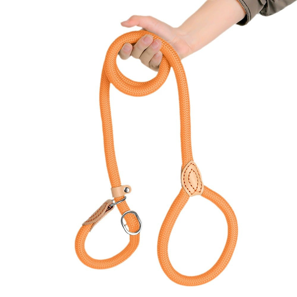 Cartoon P Dog Leash
