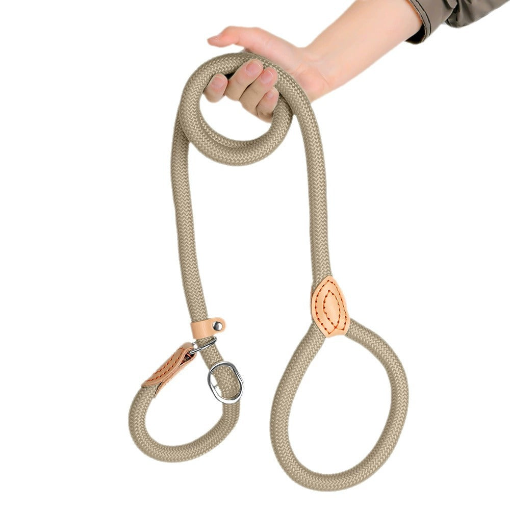 Cartoon P Dog Leash