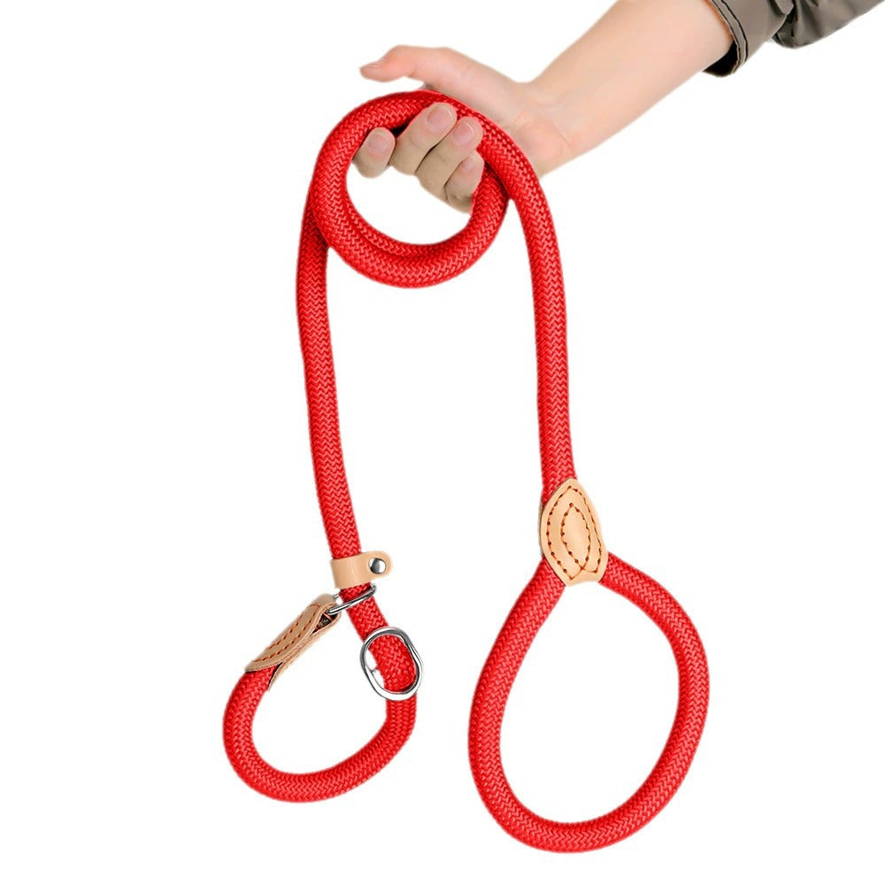 Cartoon P Dog Leash