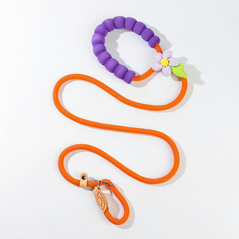Cartoon P Dog Leash