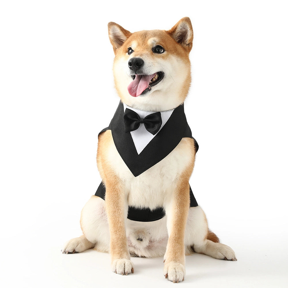 Dog Bow Tie