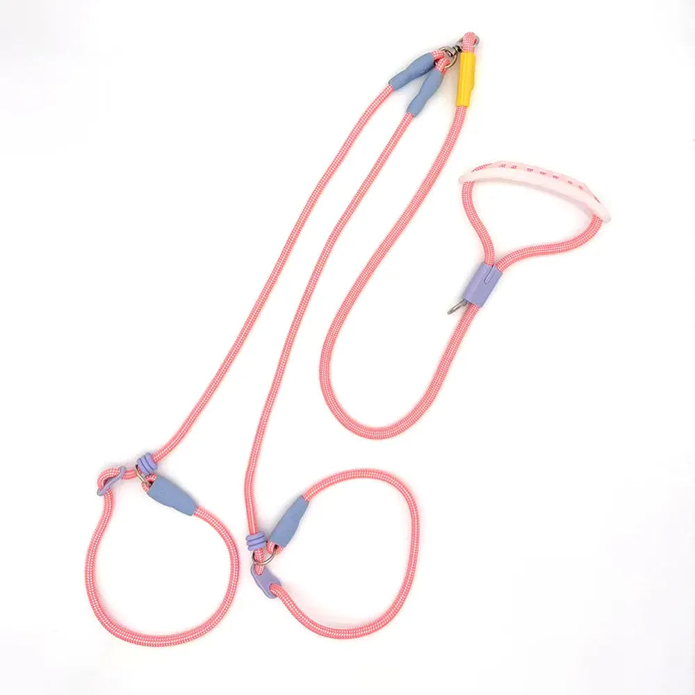 Dopamine Dual Dog Leash