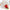 Apple Food Hiding Interactive Dog Toy