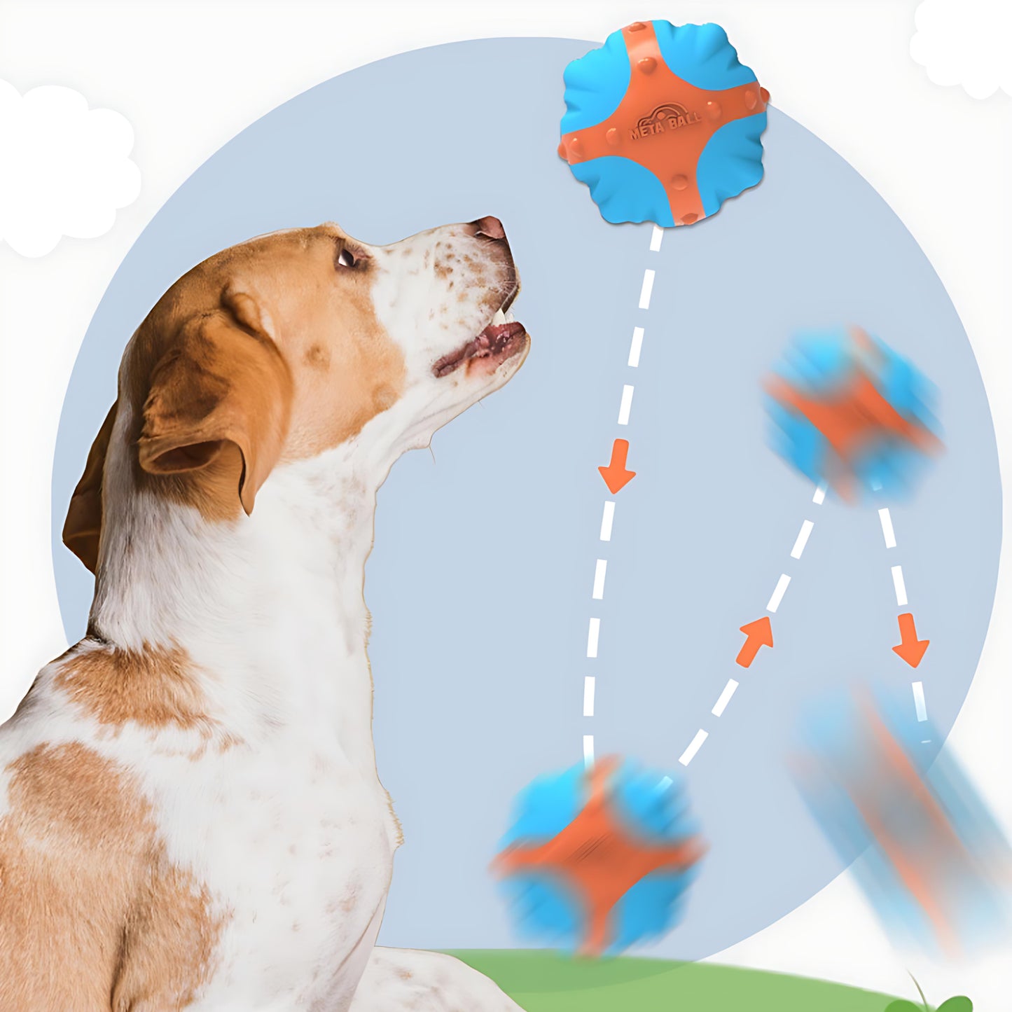 Kauspielzeug fürs Fußballtraining