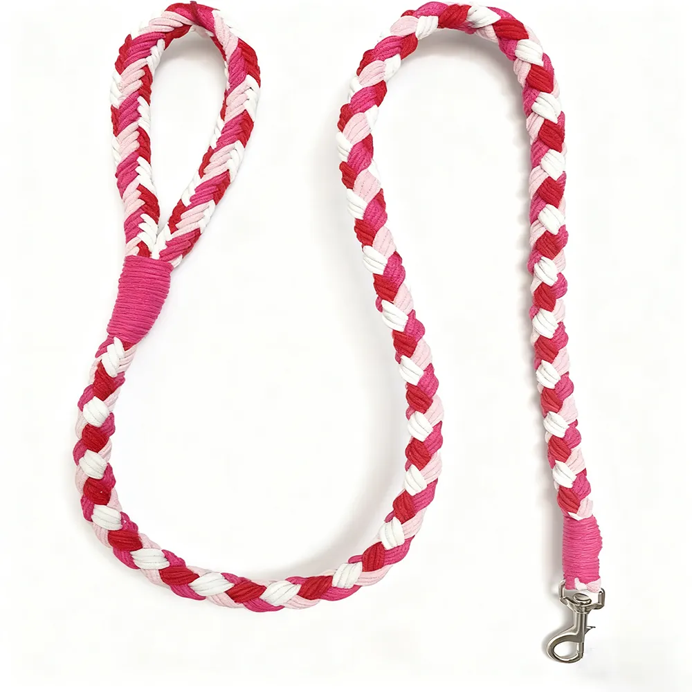 Four-Strand Braided Dopamine Dog Leash